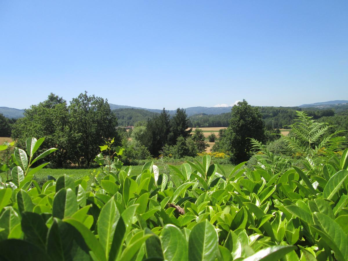 Decollatura Palahotel Vallenoce מראה חיצוני תמונה